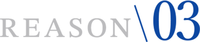 reason03